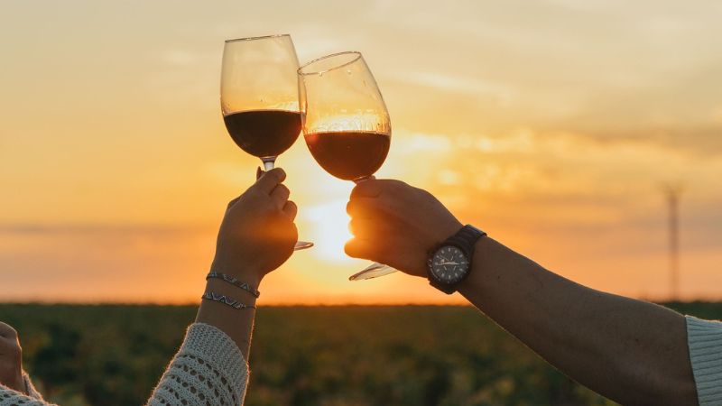 Bodegas Sani Primavera merida